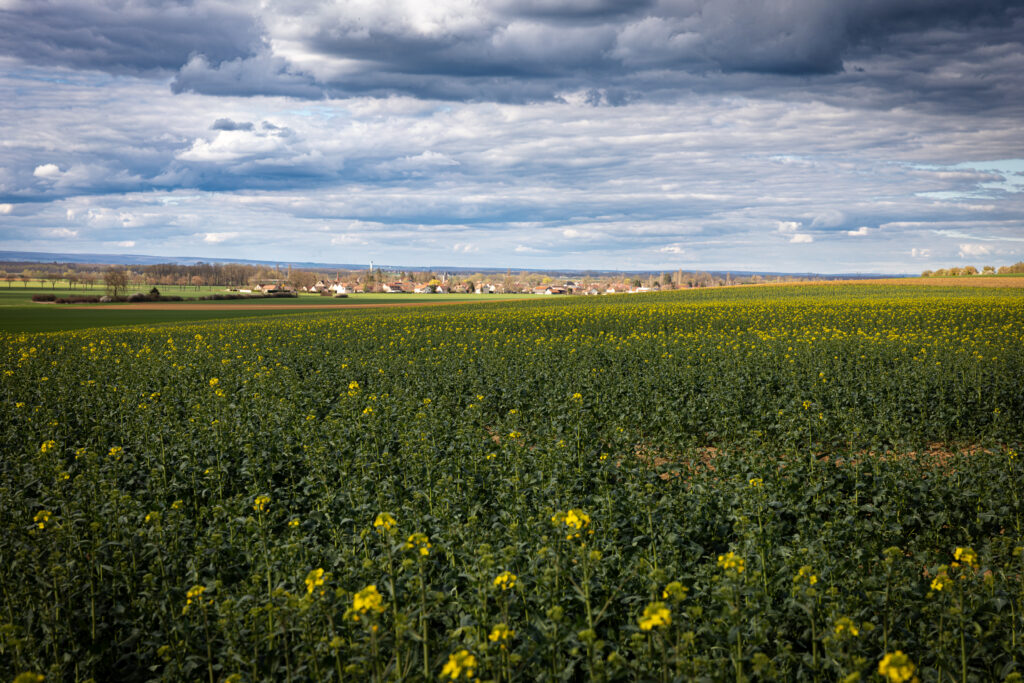 La biodiversité, au cœur de la plaine dijonnaise