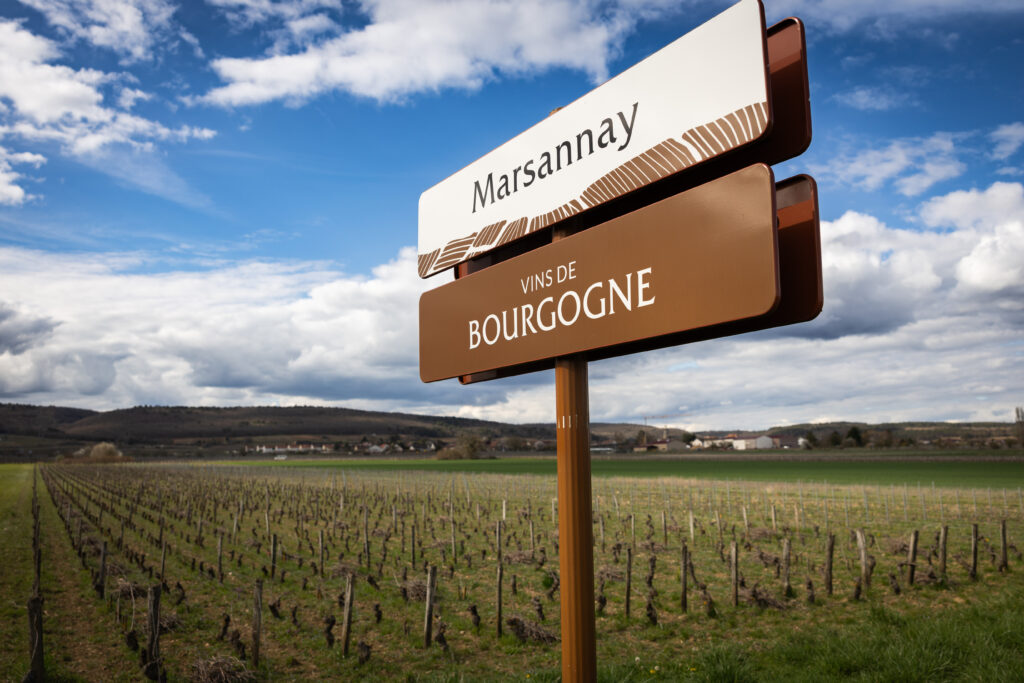 Le vignoble de Marsannay qui, demain, pourrait être classé premiers crus